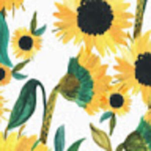 Meet your Posher, Zoe